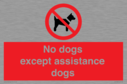 no-dogs-except-assistance-dogs~